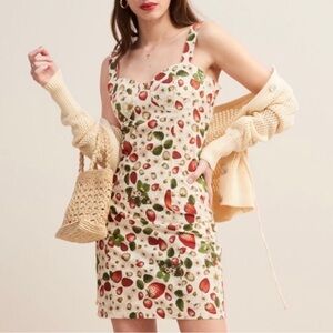 RARE NWT Rouje Angie Strawberry Print dress